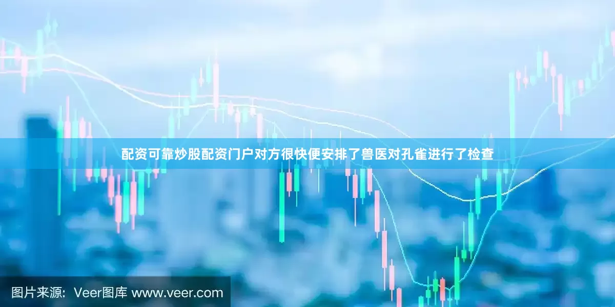 配资可靠炒股配资门户对方很快便安排了兽医对孔雀进行了检查