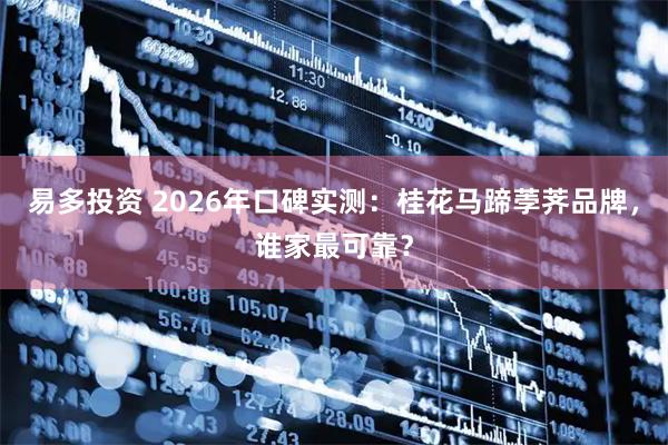 易多投资 2026年口碑实测：桂花马蹄荸荠品牌，谁家最可靠？