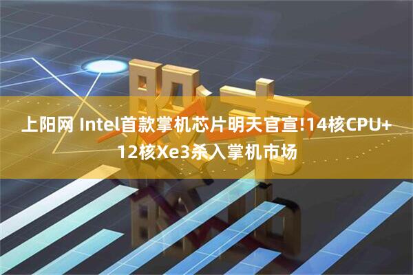 上阳网 Intel首款掌机芯片明天官宣!14核CPU+12核Xe3杀入掌机市场