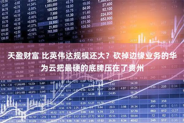 天盈财富 比英伟达规模还大？砍掉边缘业务的华为云把最硬的底牌压在了贵州